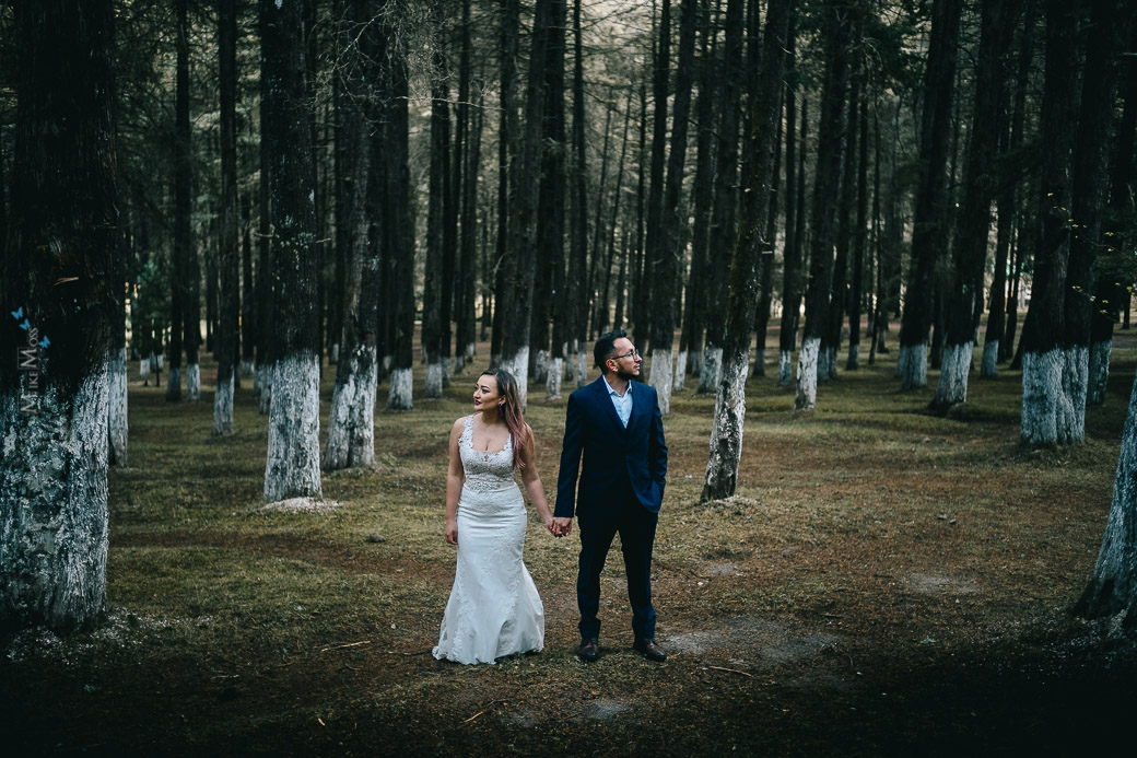 Alin-Rodolfo-Trash-The-Dress-Cedral-2019-114