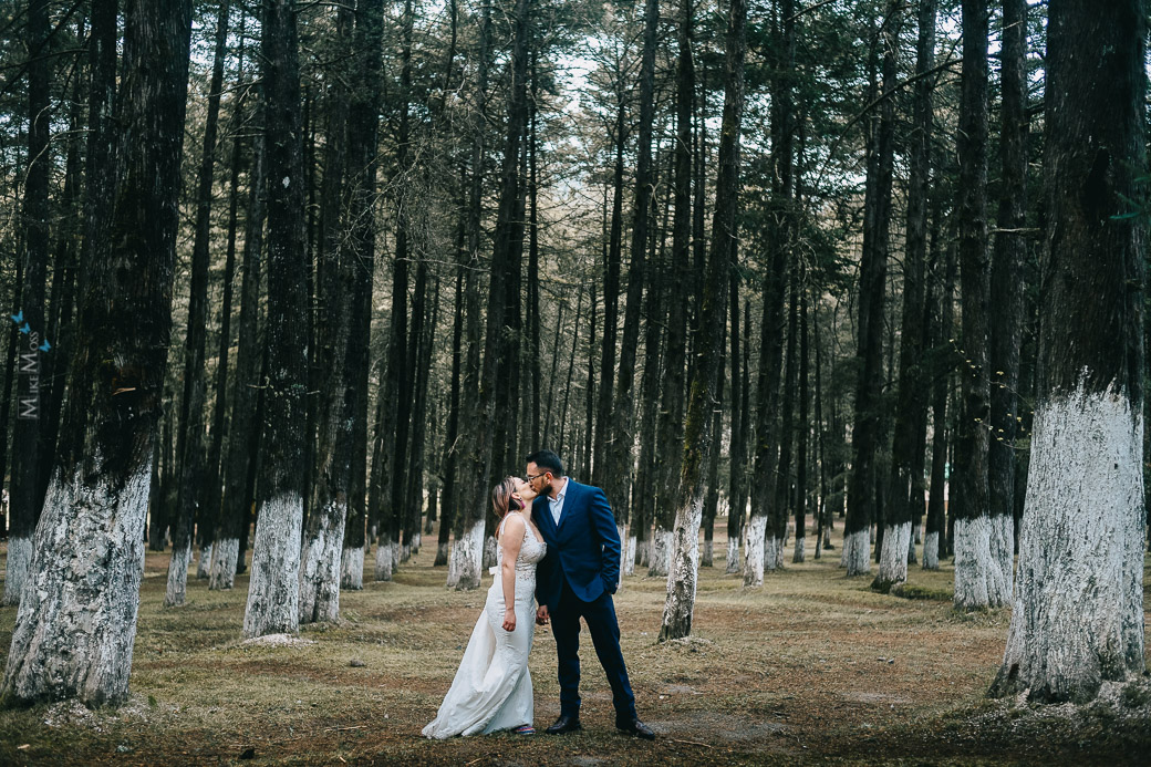 Alin-Rodolfo-Trash-The-Dress-Cedral-2019-133